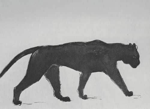 Steinlen, Theophile Alexandre: Katzenzeichnung