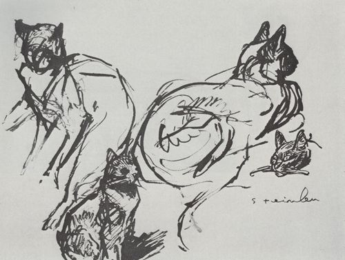 Steinlen, Theophile Alexandre: Katzenzeichnung