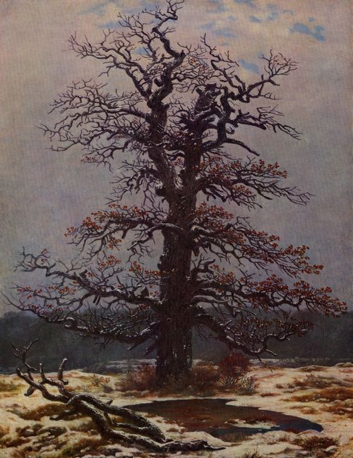 Friedrich, Caspar David: Eiche im Schnee (Eichbaum am T�mpel im Schnee)
