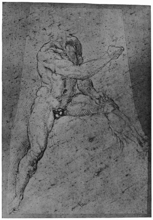 Raffael: Aktstudie