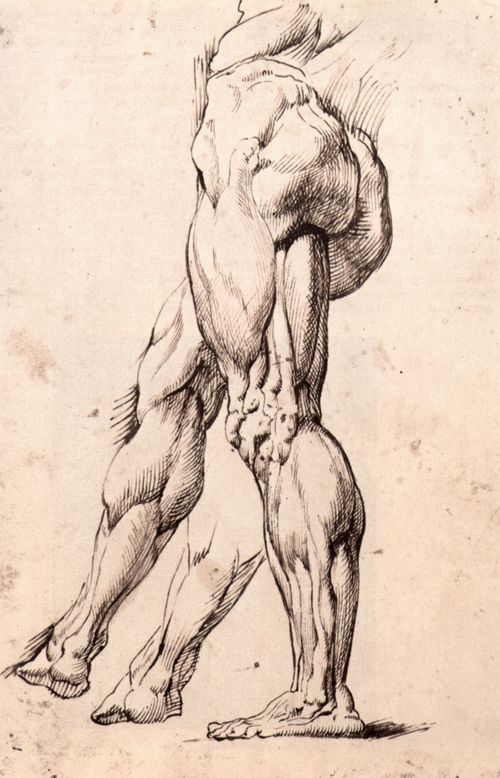 Rubens, Peter Paul: Anatomische Beinstudien