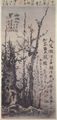 Fenghan, Gao: Pflaumenbl�ten