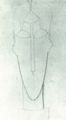 Modigliani, Amedeo: Studie f�r einen Kopf