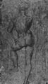 Raffael: Psyche-Loggia, Studie, Stehender m�nnlicher Akt