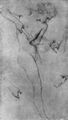 Ingres, Jean Auguste Dominique: Aktstudie zur Gestalt R�digers