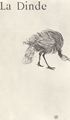 Toulouse-Lautrec, Henri de: Illustration zu Jules Renards »Histoires naturelles«, Der Truthahn