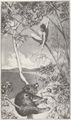 Klinger, Max: Opus IV, �Intermezzi�, B�r und Elfe