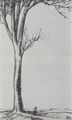 Steinlen, Theophile Alexandre: Bauer und Baum