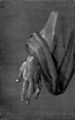 D�rer, Albrecht: Studie zum »Heller-Altar«: Linke Hand eines Apostels