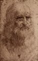 Leonardo da Vinci: Selbstportr�t