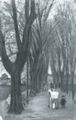Macke, August: Hofgarten in Bonn