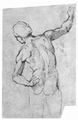 Raffael: Disputa, Studie, R�ckenakt