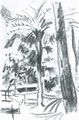 Macke, August: Palme im Park