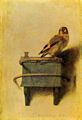 Fabritius, Carel: Distelfink