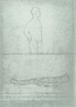 Modigliani, Amedeo: Akt