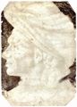 Uccello, Paolo: Portr�t eines Mannes, Fragment
