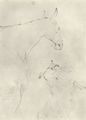 Toulouse-Lautrec, Henri de: Studienblatt mit Pferd und Collie