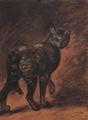 Steinlen, Theophile Alexandre: Katze