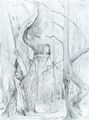 Kanoldt, Edmund: Baumstudie, Hasbruch [2]
