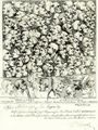 Hogarth, William: Charaktere und Karikaturen