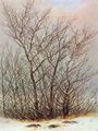 Friedrich, Caspar David: B�ume und Str�ucher im Schnee