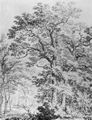 Saftleven, Herman: Der Wald von Doorwerth