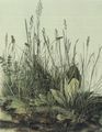 D�rer, Albrecht: Das gro�e Rasenst�ck