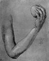 D�rer, Albrecht: Arm der Eva