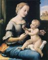 Raffael: Madonna der Nelken