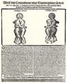 Negele, Tobias: Missgeburt in Stra�burg, 13. Januar 1606