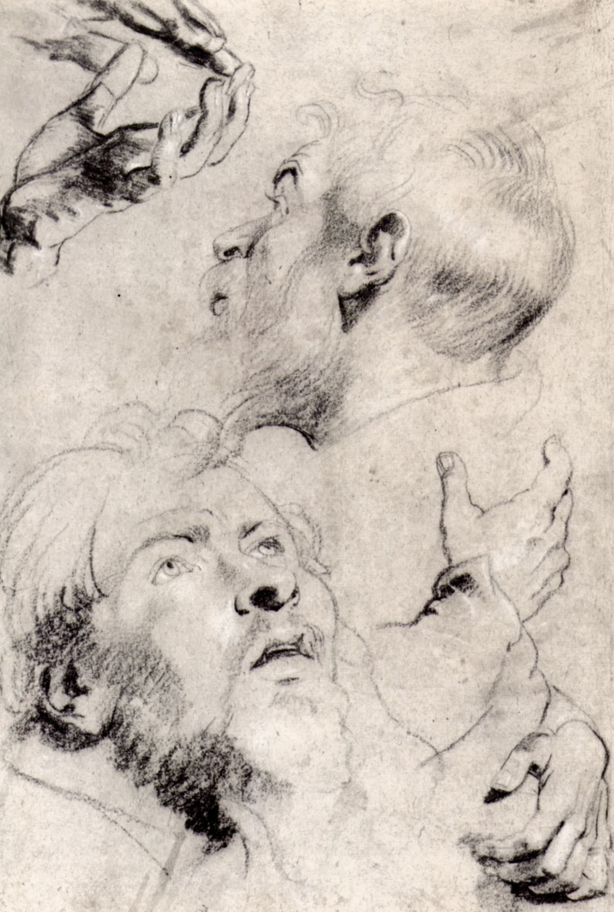 Rubens, Peter Paul: Studienblatt 2.