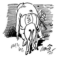 Silen