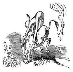 Vetter Franz auf dem Esel