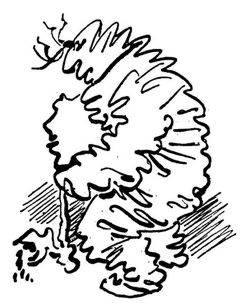 Ende