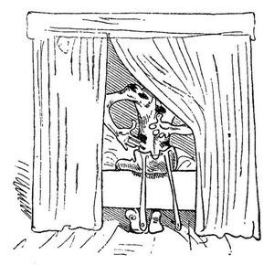 Der sch�ne Ritter
