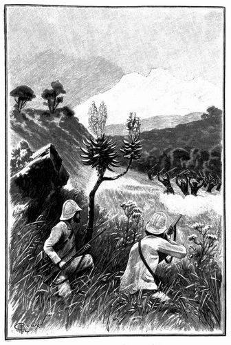 Die beiden M�nner sahen sich von einem Theile der Bravos-Indianer angegriffen. (S. 120.)