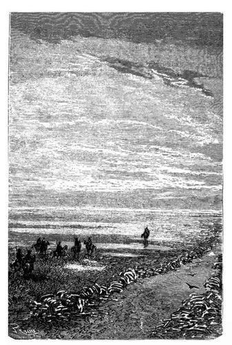 Stra�e von Carmen nach Mendoza. (S. 132.)