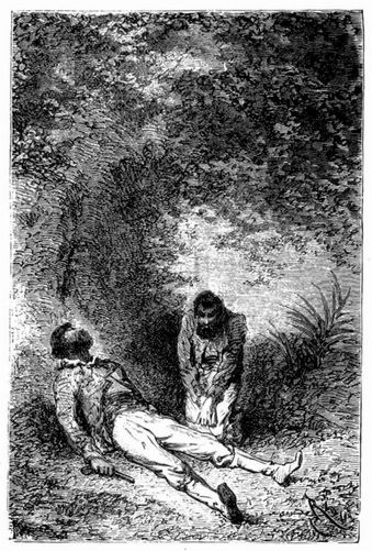 Burke's Tod. (S. 362.)