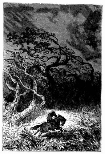 Da verdoppelte sich die Wuth des Sturmes. (S. 478.)