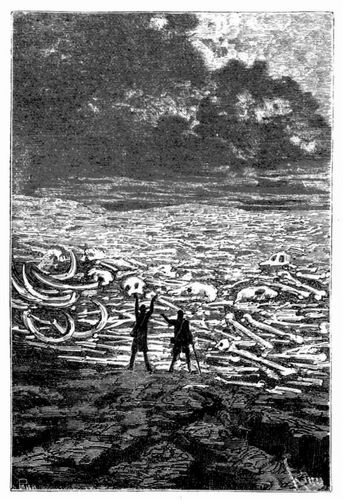 Ein Gebeinfeld. (S. 204.)