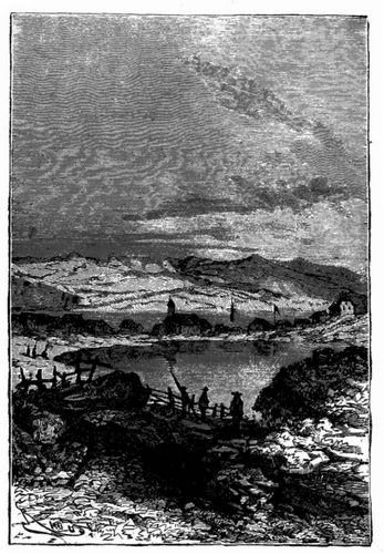Ansicht von Reykjawik. (S. 56.)