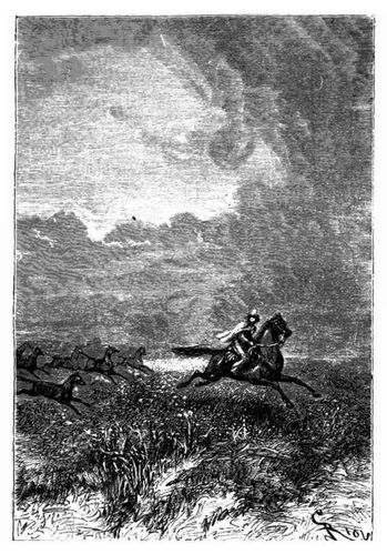Die rothen W�lfe bei der Verfolgung. (S. 171.)