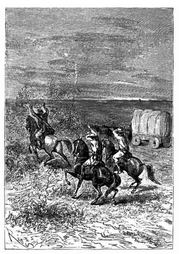 In den Moskitos-Ebenen. (S. 339.)