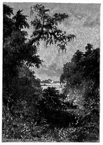 Singapore. (S. 107.)
