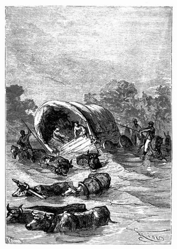 Der Reisewagen in bedenklicher Lage. (S. 355.)