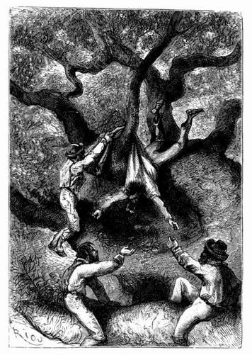 Paganel st�rzte von Ast zu Ast. (S. 213.)