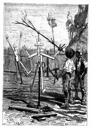 Vogelscheuchen nach Pencroff's Erfindung. (S. 321.)
