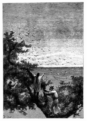 Die Sonne verschwand in leuchtenden D�nsten. (S. 225.)