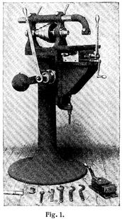 Fig. 1.