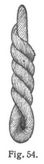 Fig. 54.